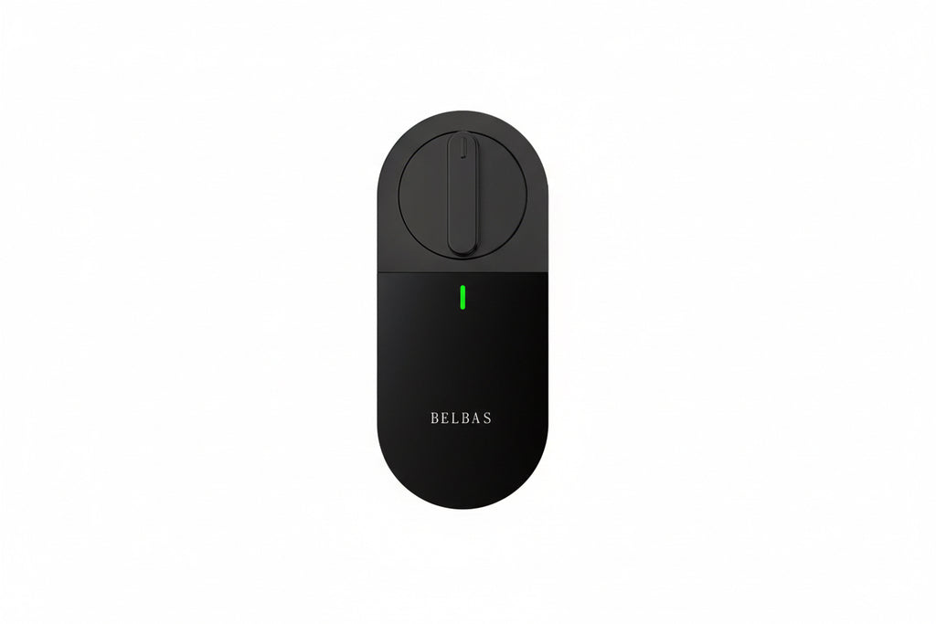 BELBAS SMART LOCK X01