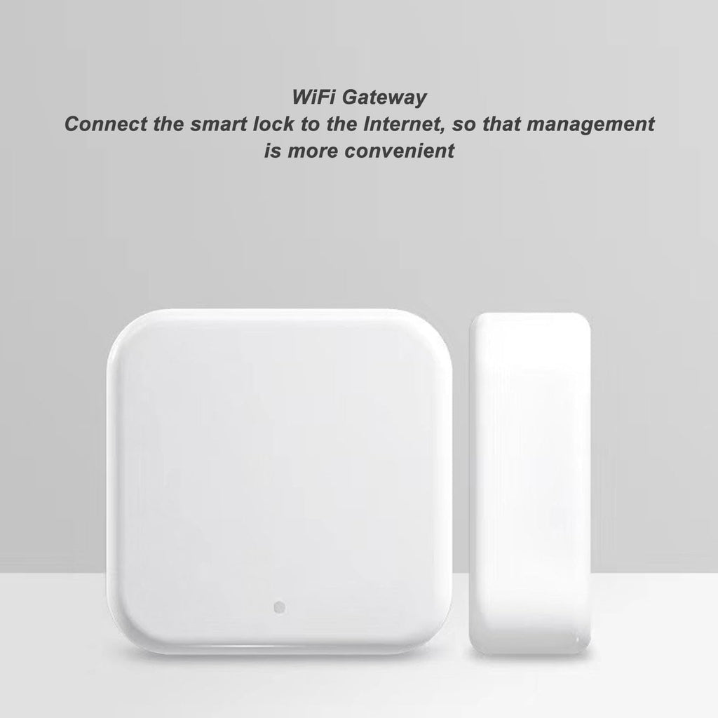 BELBAS smart gateway 02